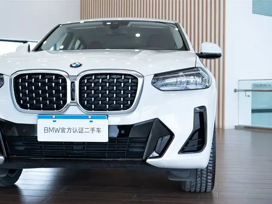 BMW X4 2024 из CN, фото 7