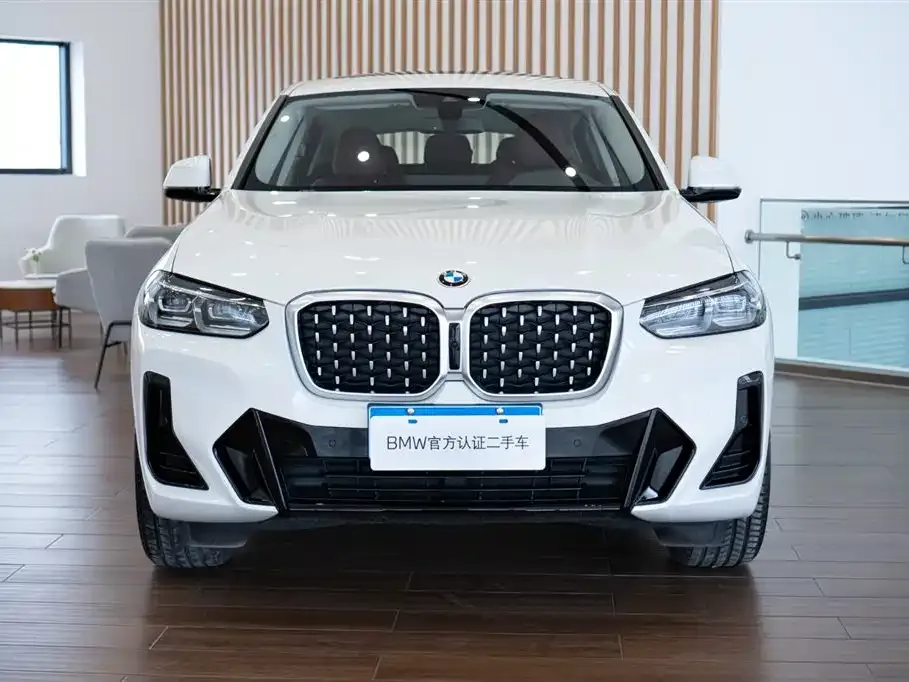 BMW X4 2024 из CN, фото 10