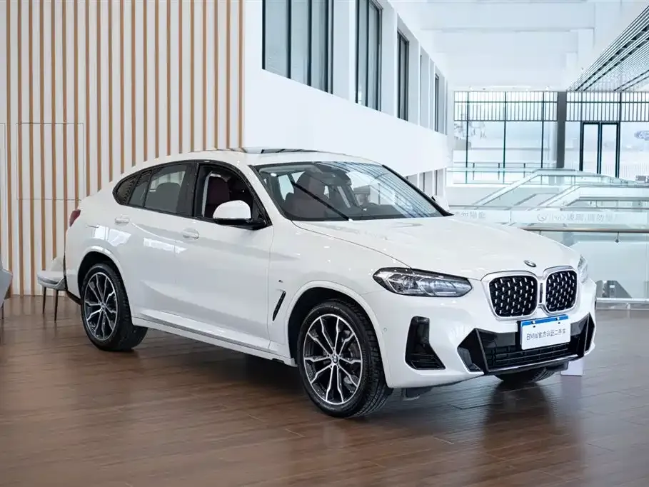 BMW X4 2024 из CN, фото 4