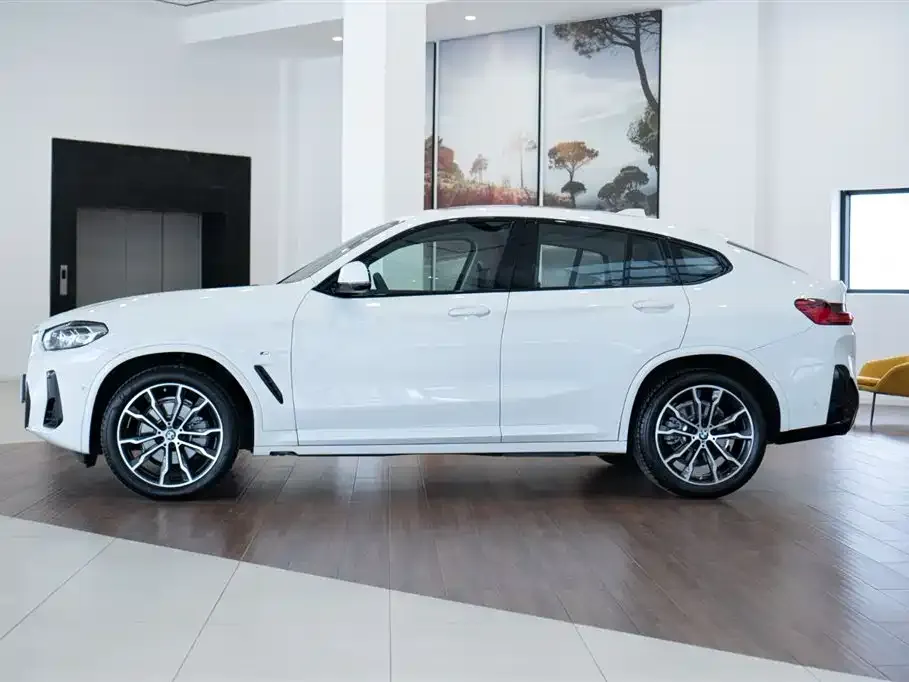 BMW X4 2024 из CN, фото 2