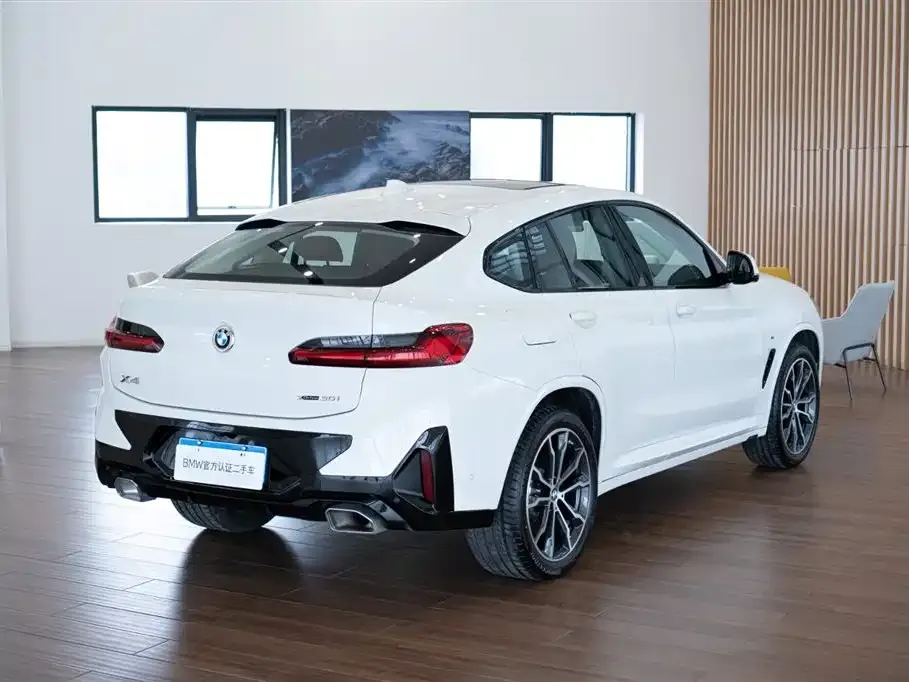 BMW X4 2024 из CN, фото 8