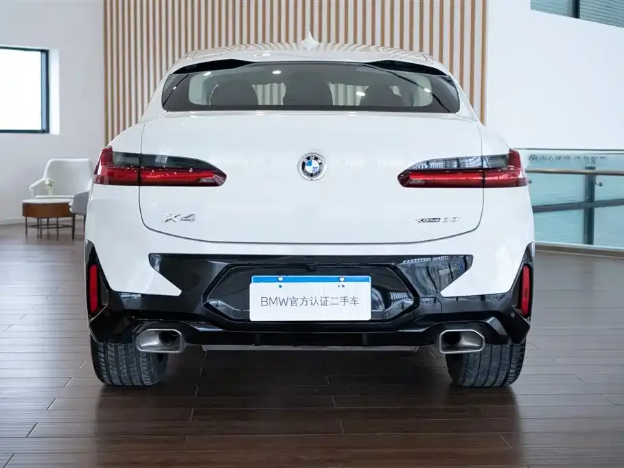 BMW X4 2024 из CN, фото 3