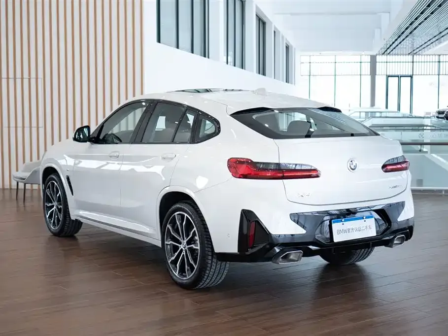 BMW X4 2024 из CN, фото 6