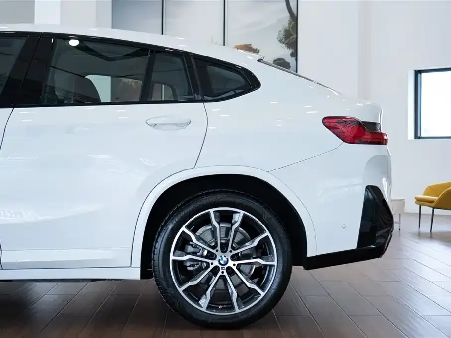 BMW X4 2024 из CN, фото 9