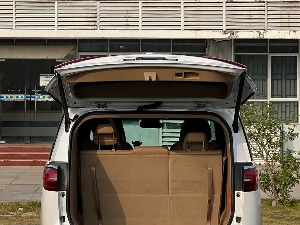 Buick GL8 2021 из CN, фото 3