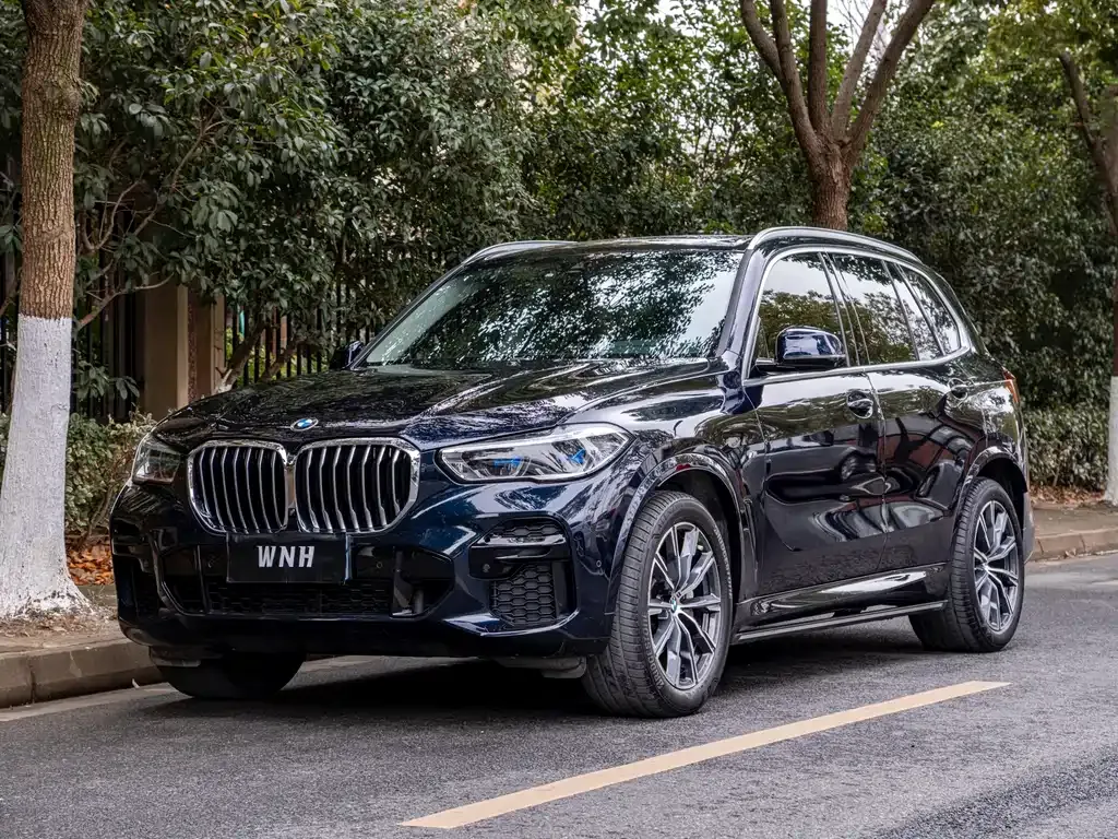 BMW X5 (Import) 2022 из CN, фото 1