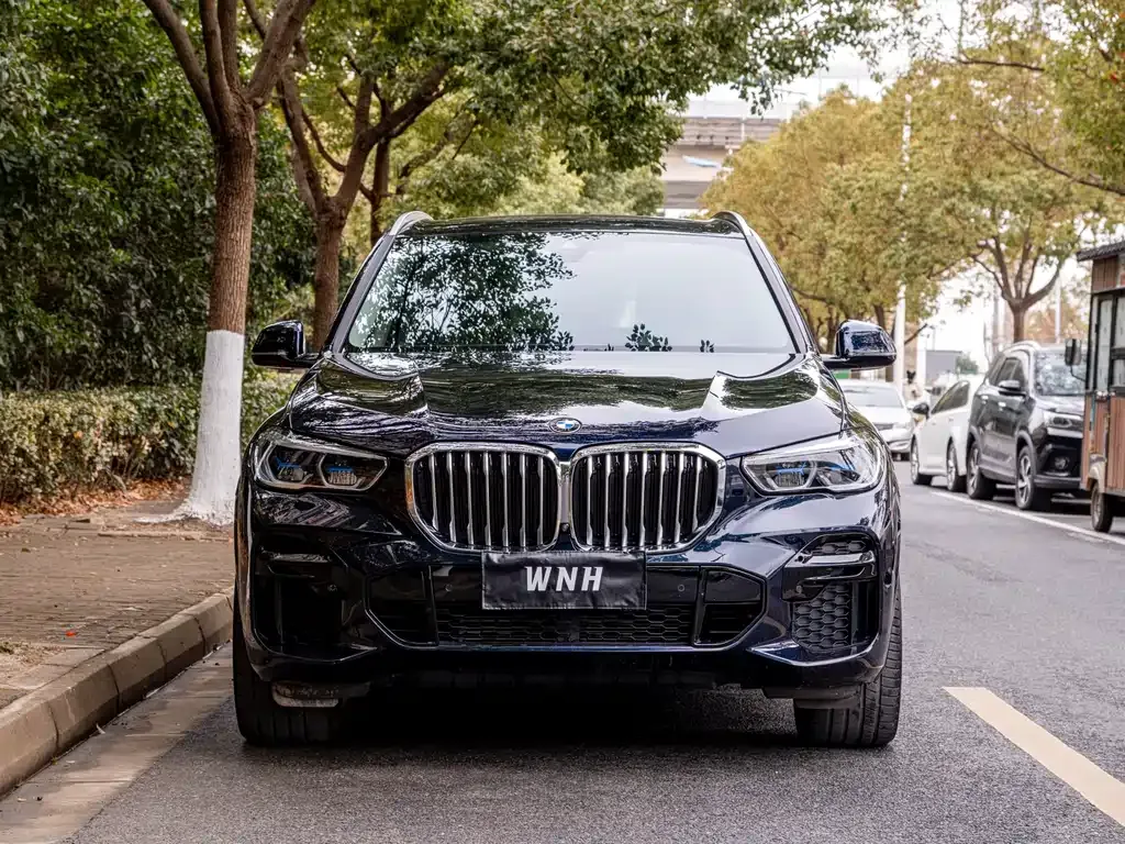 BMW X5 (Import) 2022 из CN, фото 10