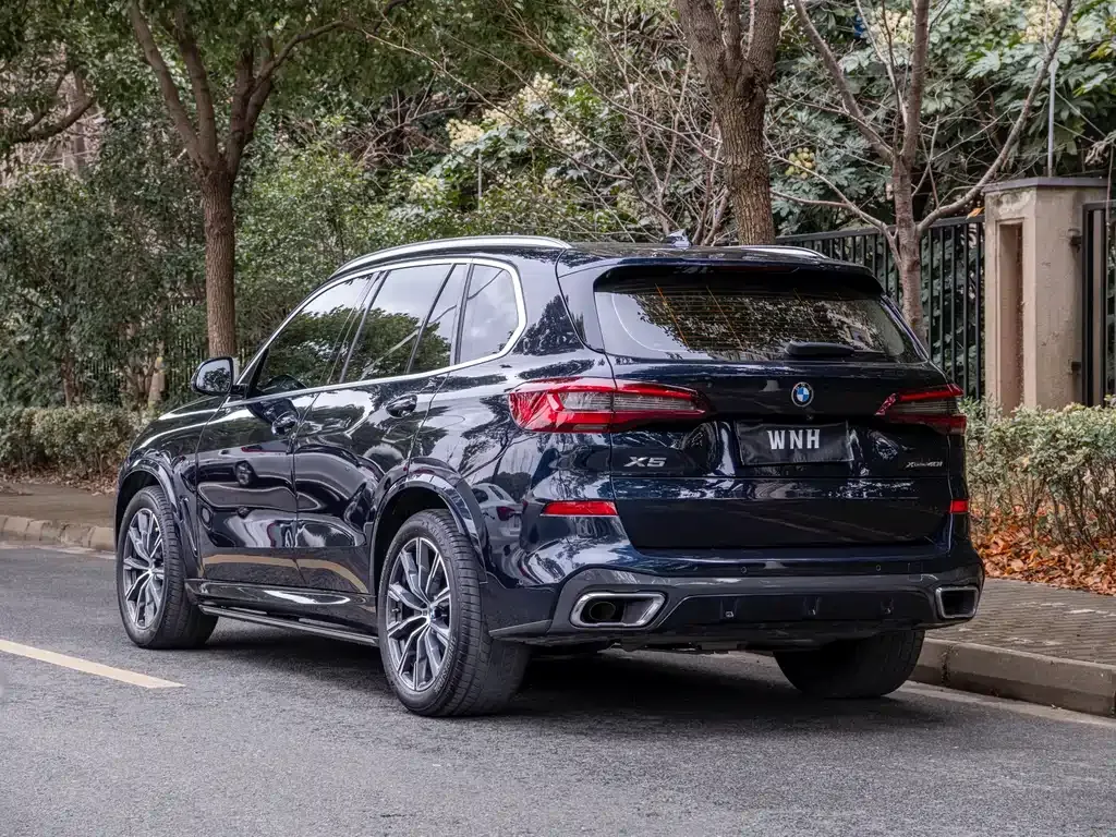 BMW X5 (Import) 2022 из CN, фото 8