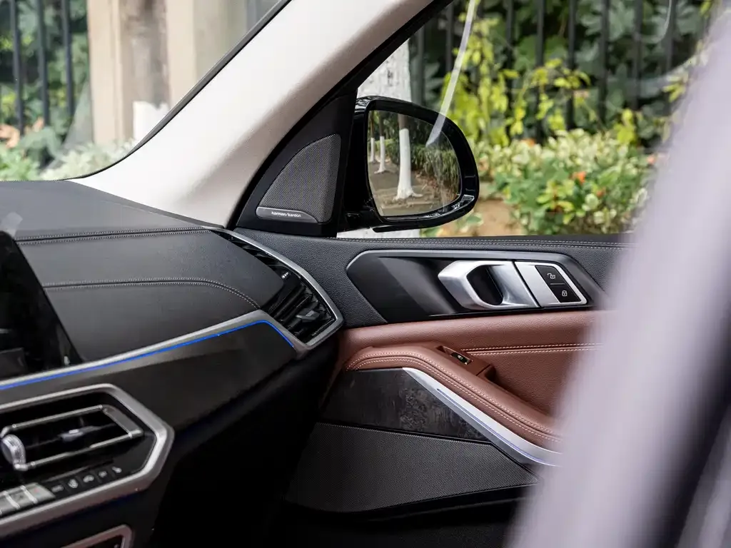 BMW X5 (Import) 2022 из CN, фото 5
