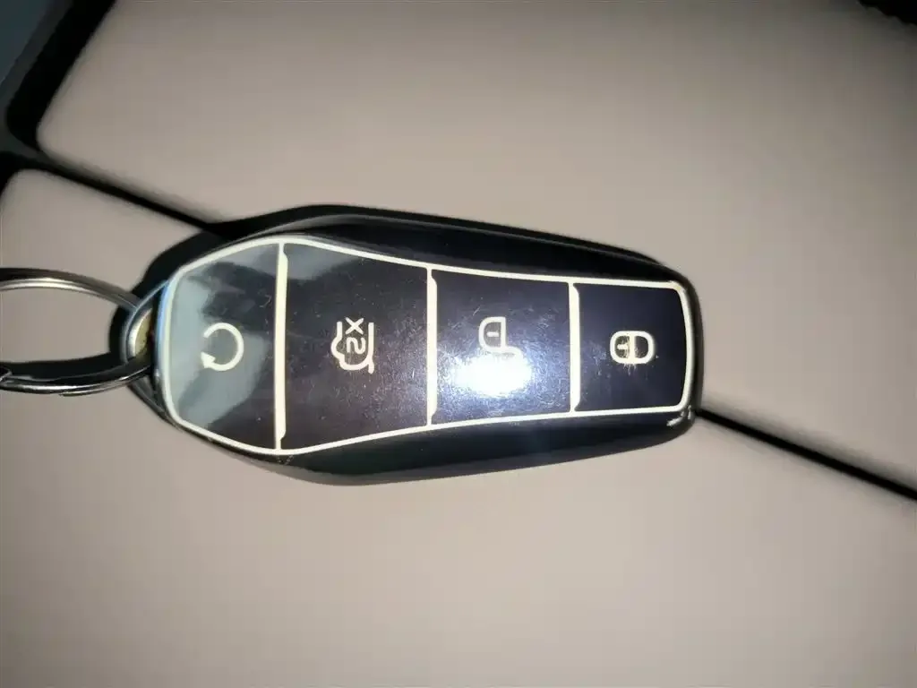 BYD Tang New Energy 2025 из CN, фото 4