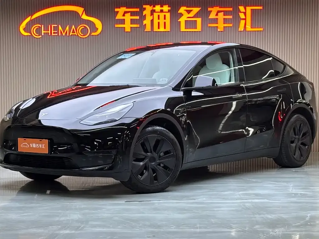 Tesla Model Y 2023 из CN, фото 1