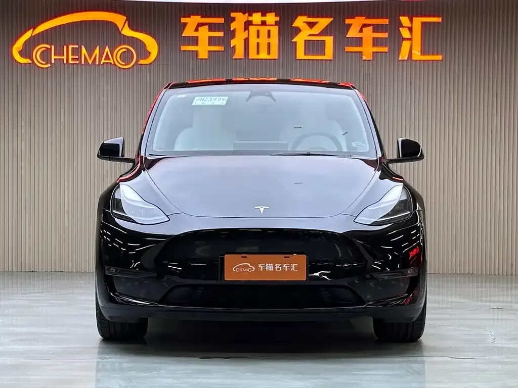 Tesla Model Y 2023 из CN, фото 2