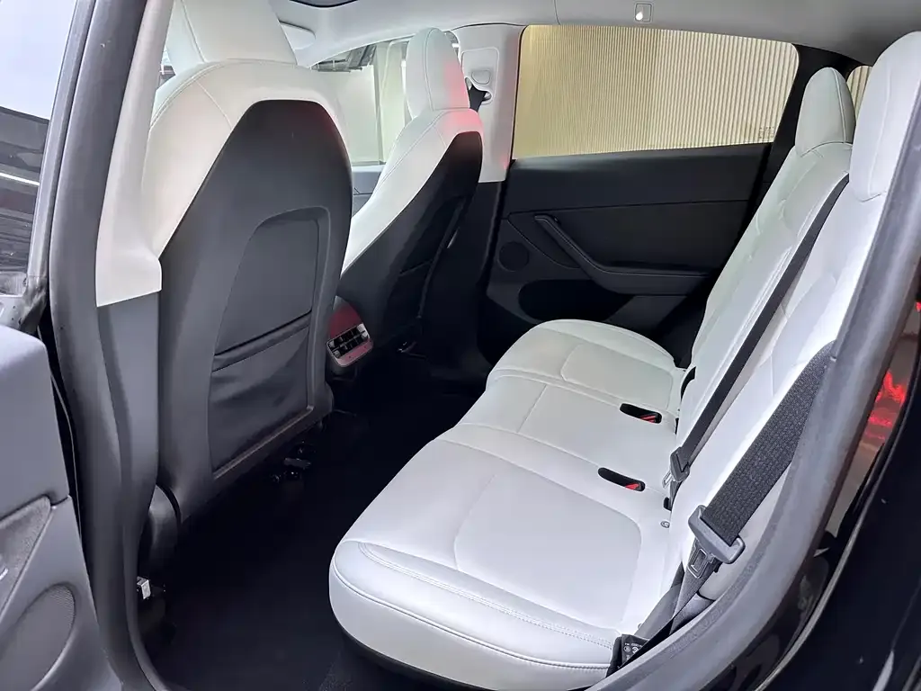 Tesla Model Y 2023 из CN, фото 6