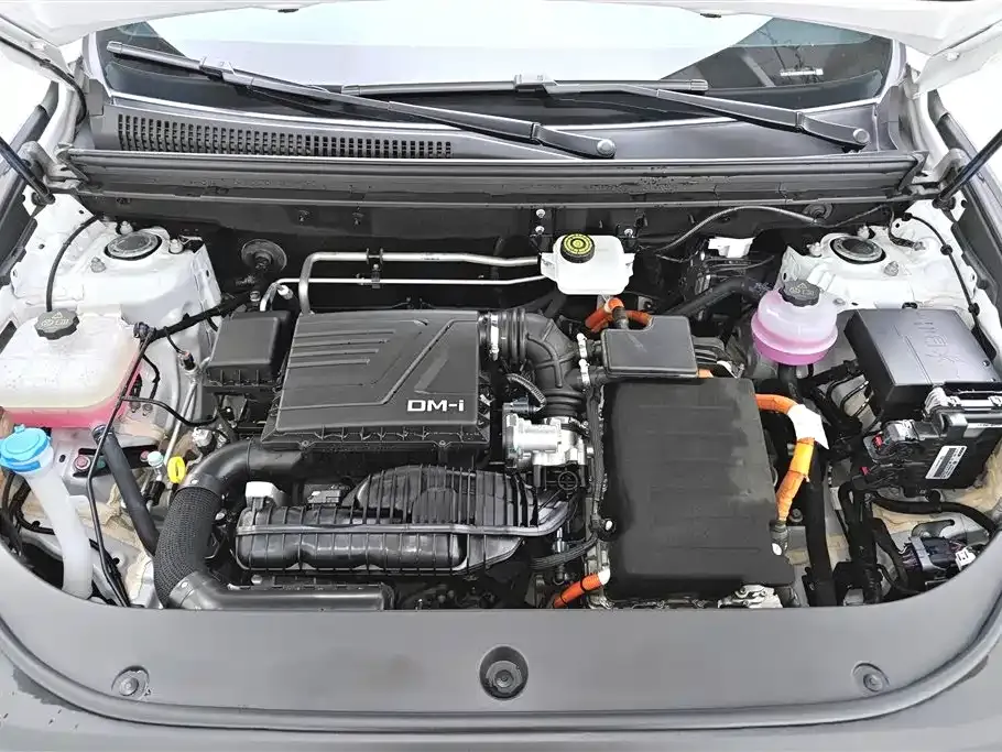 BYD Pro New Energy — фото 8