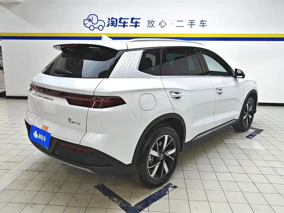 BYD Pro New Energy — фото 4