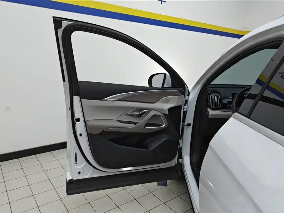 BYD Pro New Energy — фото 2