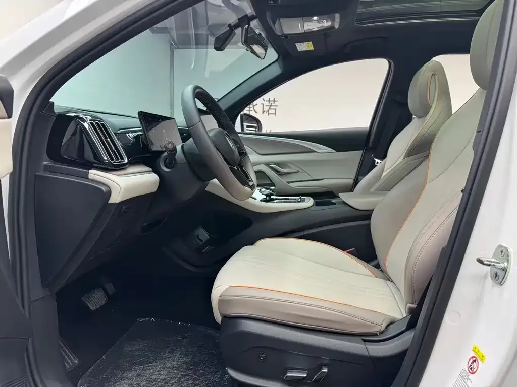 BYD Pro New Energy 2024 из CN, фото 9