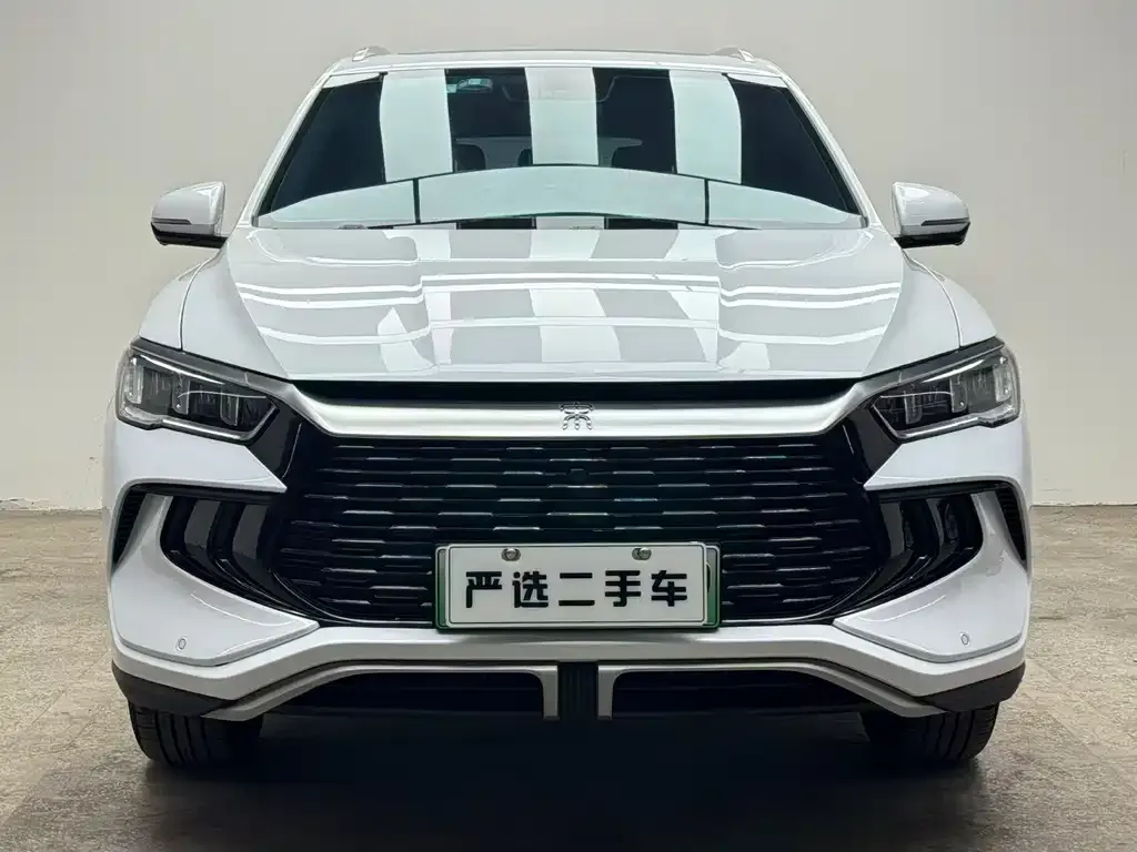 BYD Pro New Energy 2024 из CN, фото 2