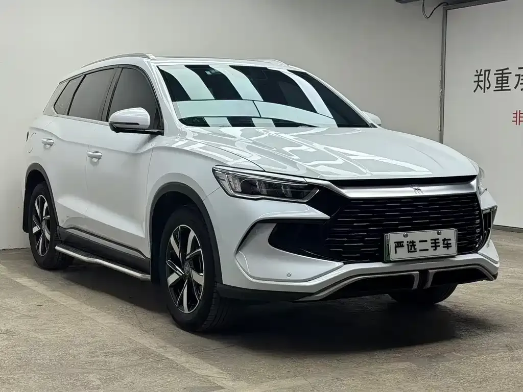 BYD Pro New Energy 2024 из CN, фото 6