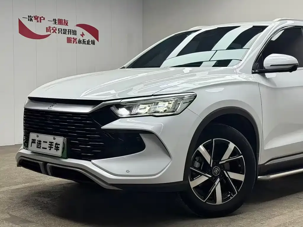 BYD Pro New Energy 2024 из CN, фото 8