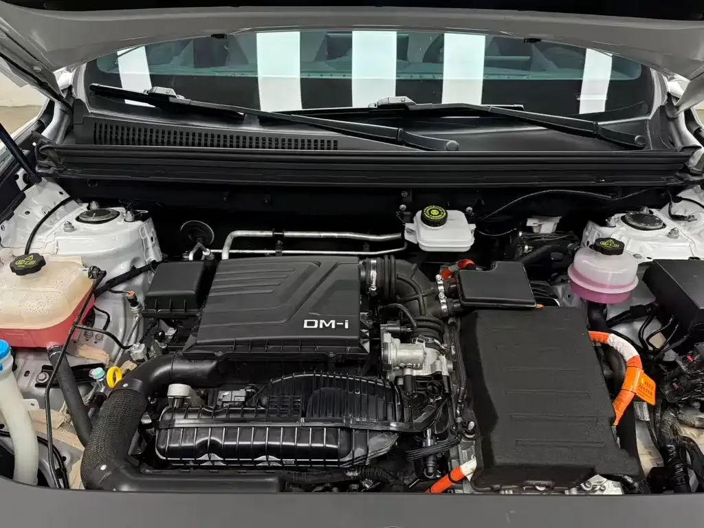 BYD Pro New Energy 2024 из CN, фото 10