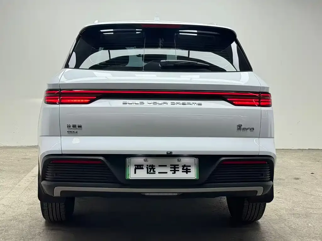 BYD Pro New Energy 2024 из CN, фото 3