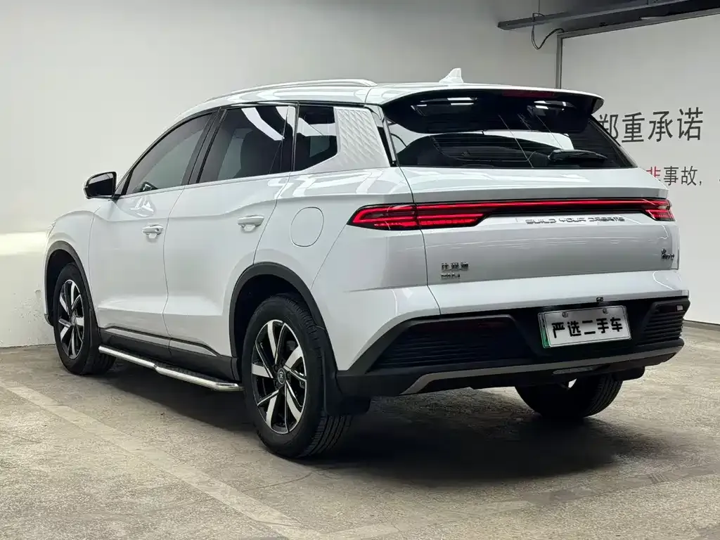 BYD Pro New Energy 2024 из CN, фото 5