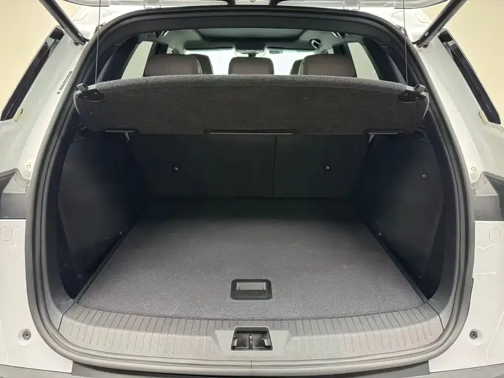 BYD Pro New Energy 2024 из CN, фото 4