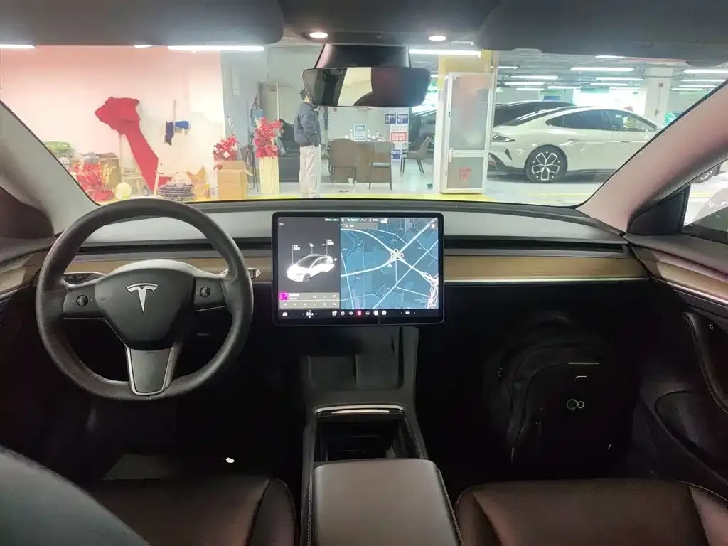 Tesla Model 3 2021 из CN, фото 6