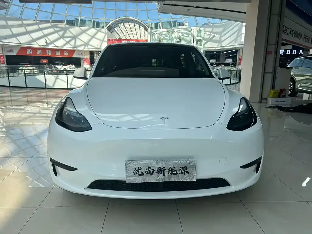 Tesla Model Y 2024 из CN, фото 2