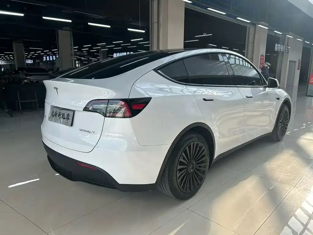 Tesla Model Y 2024 из CN, фото 5