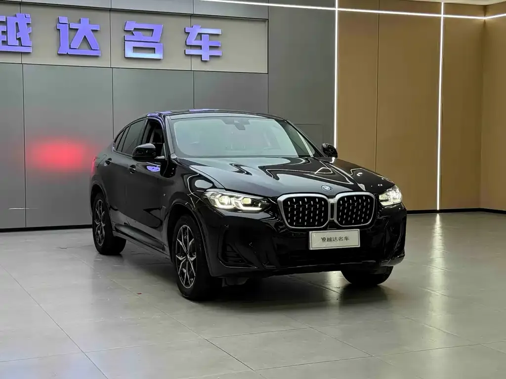 BMW X4 — фото 10