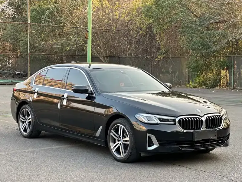 BMW 5 Series 2021 из CN, фото 1
