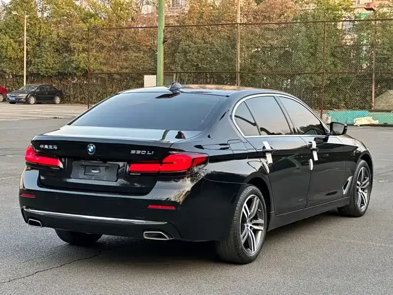 BMW 5 Series 2021 из CN, фото 9