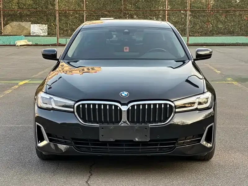 BMW 5 Series 2021 из CN, фото 4