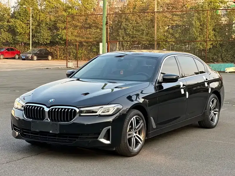 BMW 5 Series 2021 из CN, фото 7