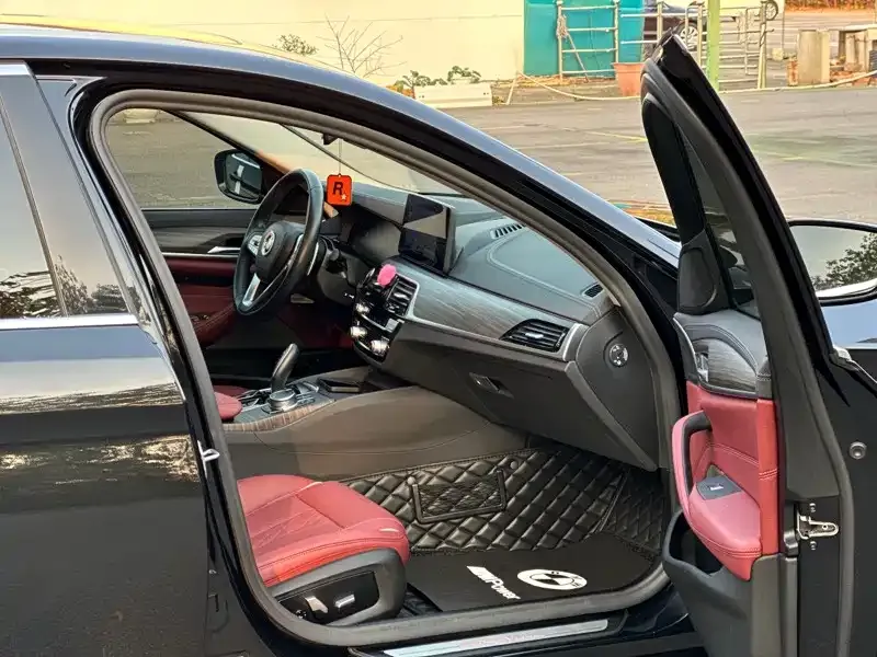 BMW 5 Series 2021 из CN, фото 6