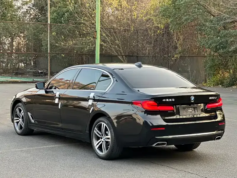 BMW 5 Series 2021 из CN, фото 10