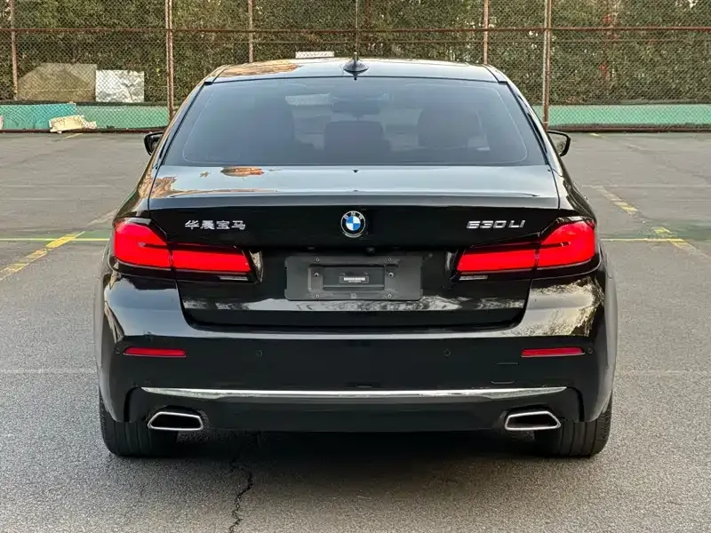 BMW 5 Series 2021 из CN, фото 8
