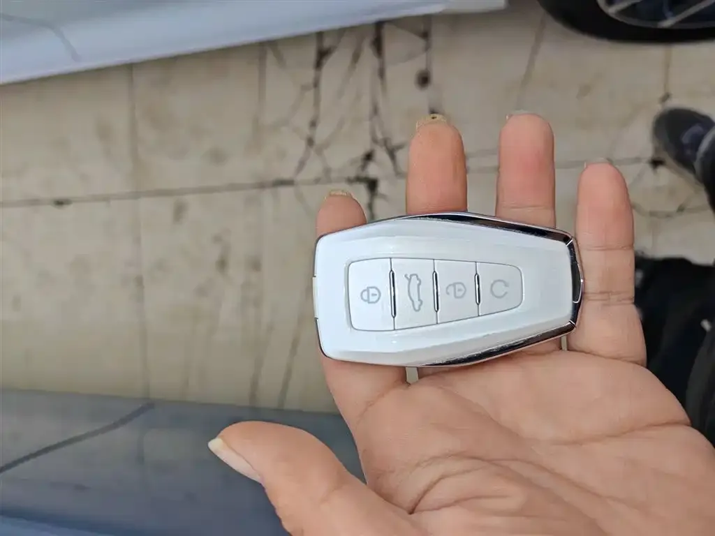 Geely Xingrui 2025 из CN, фото 9