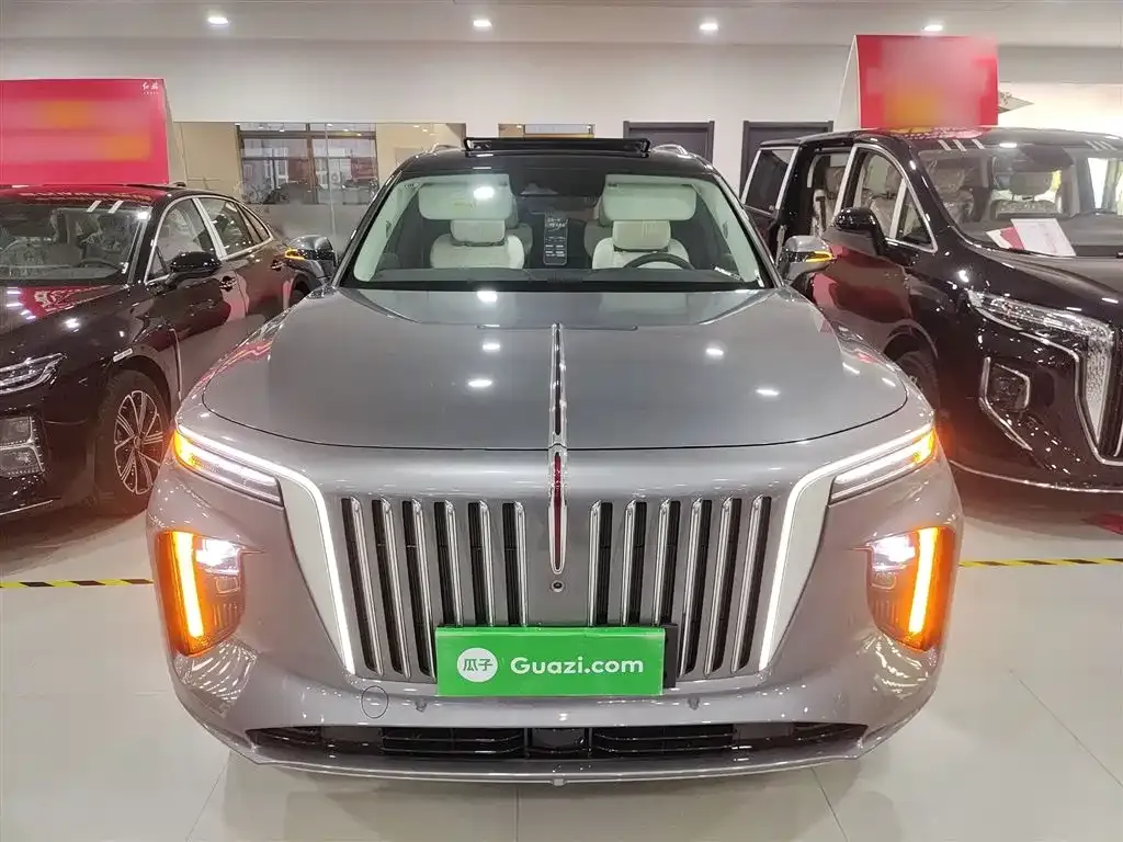 Hongqi E-HS9 2024 из CN, фото 9