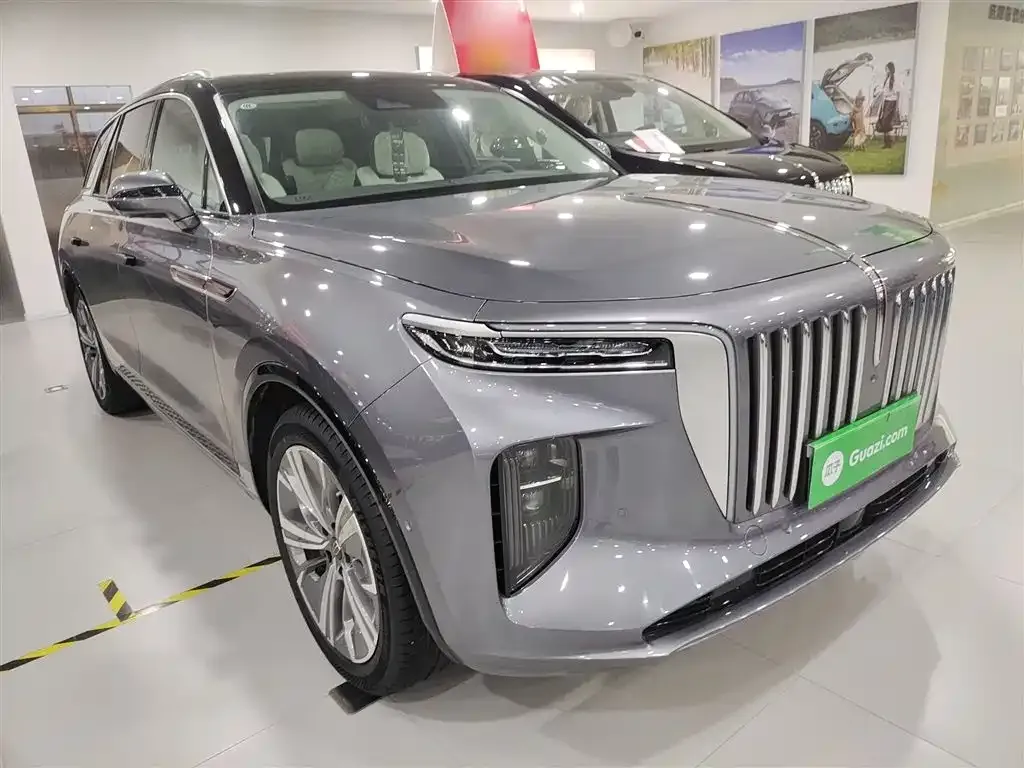 Hongqi E-HS9 2024 из CN, фото 6