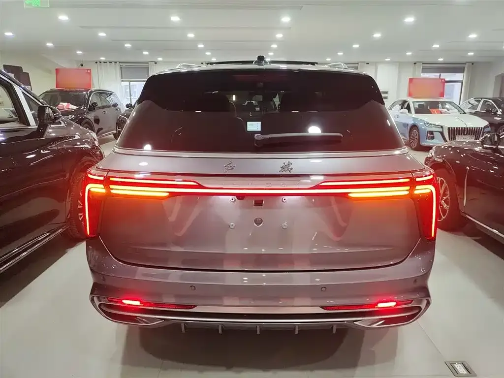 Hongqi E-HS9 2024 из CN, фото 7