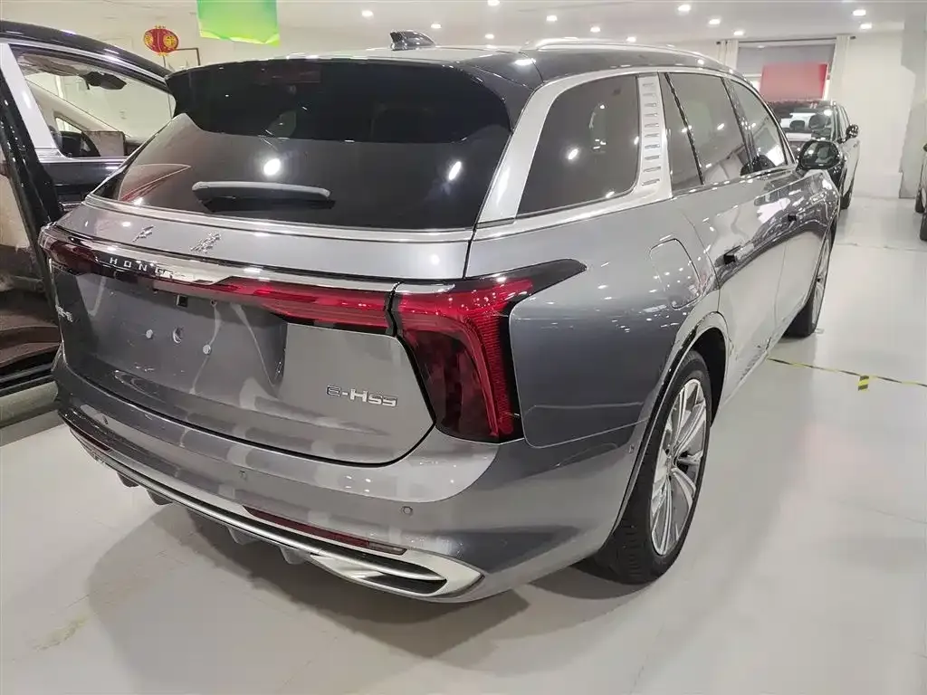 Hongqi E-HS9 2024 из CN, фото 8