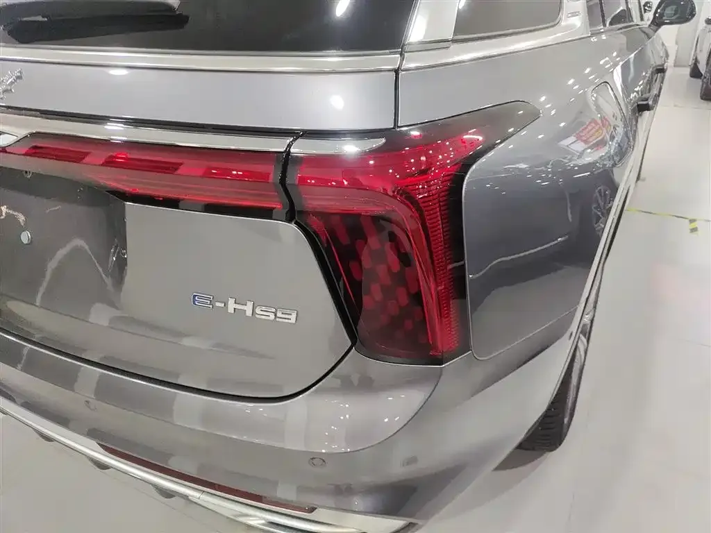 Hongqi E-HS9 2024 из CN, фото 5