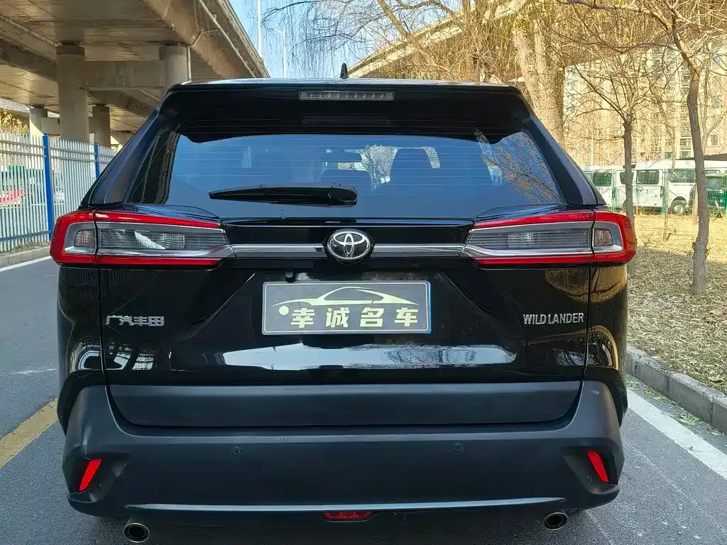 Toyota Wildlander 2022 из CN, фото 6