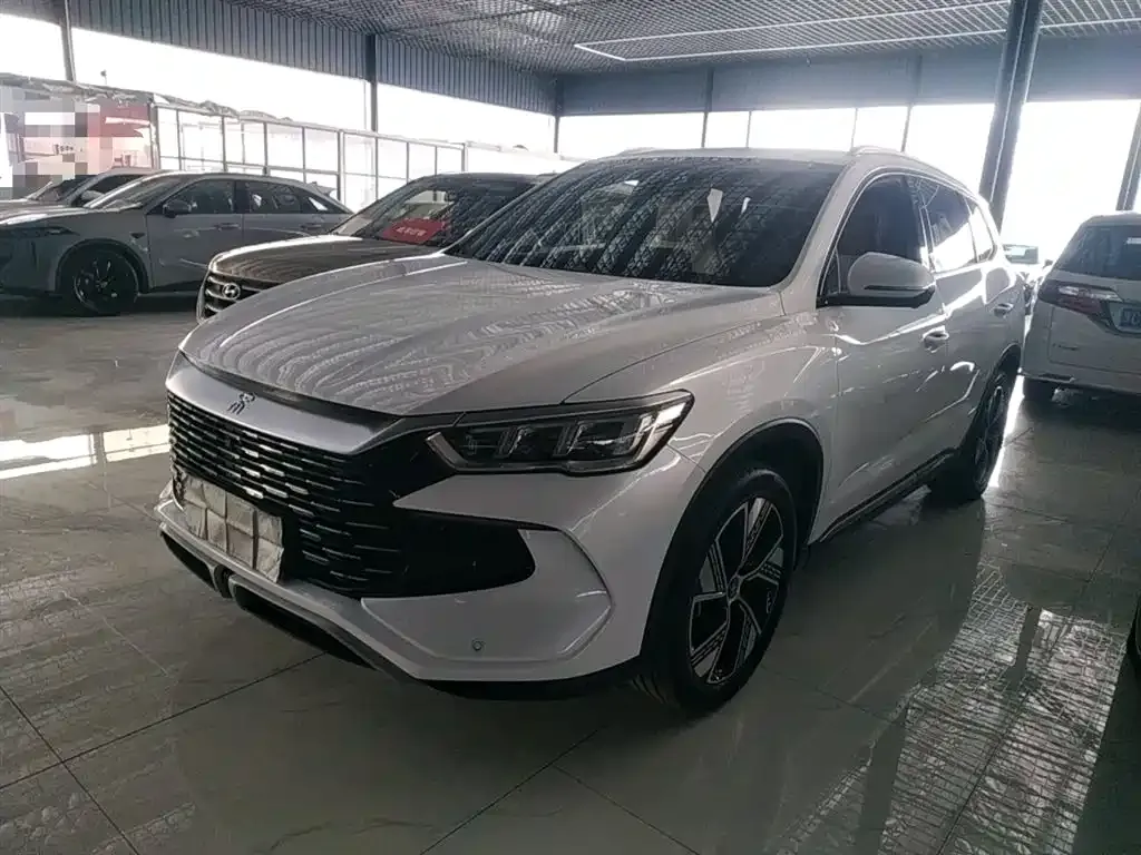 BYD Pro New Energy — фото 5