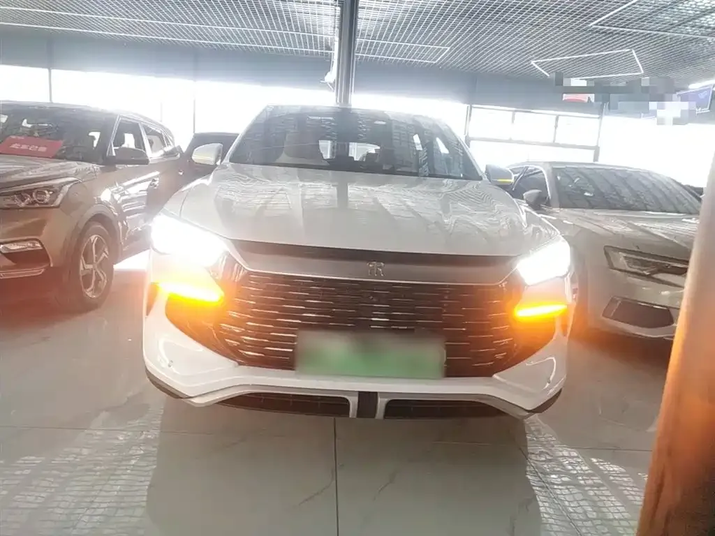 BYD Pro New Energy — фото 10
