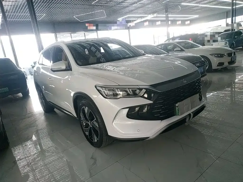 BYD Pro New Energy — фото 8