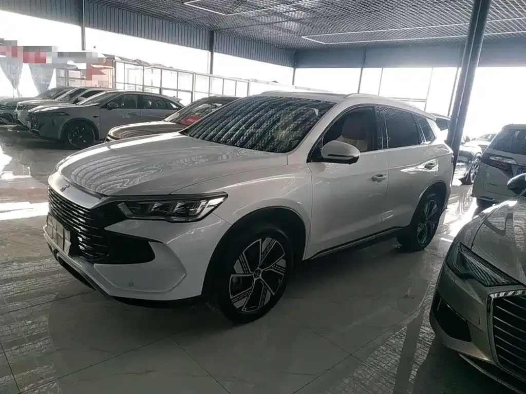 BYD Pro New Energy — фото 4